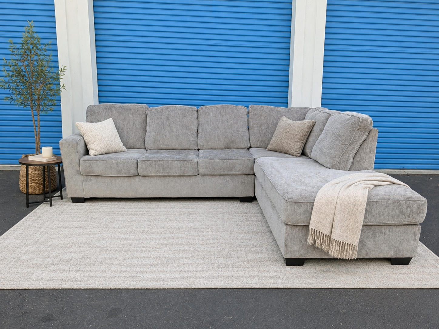 Ashley Sleeper Sectional